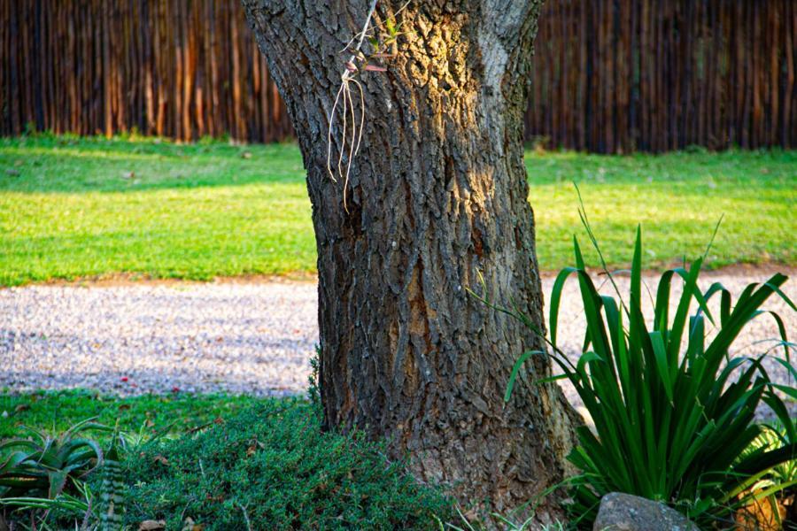 Kangelani Lodge Hillcrest Esterno foto